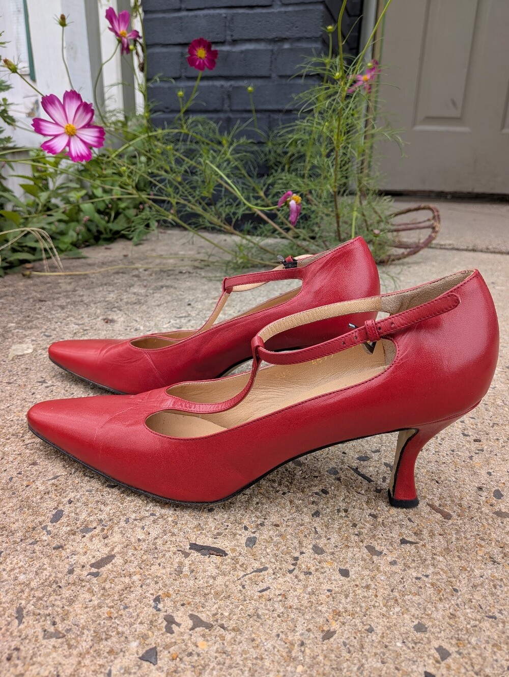 Red T-Strap Pointed Toe Women's Leather Heels, Walter Steiger, Made In Italy 9.5